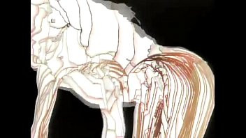 Play Ron Harris' Aerobicise Presented by American Apparel - Push-ups